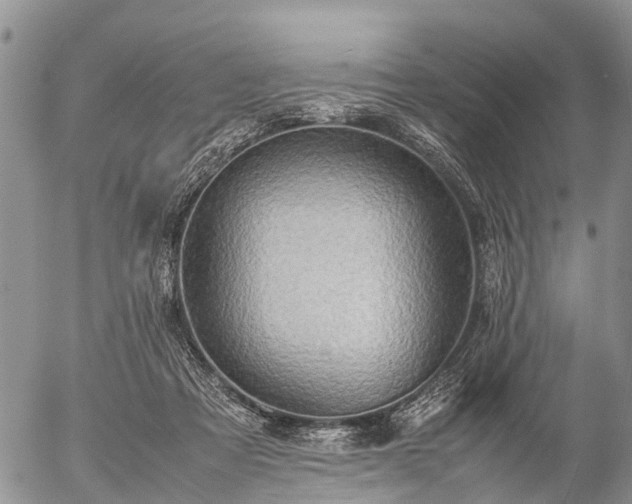 X0000057100313200509161701