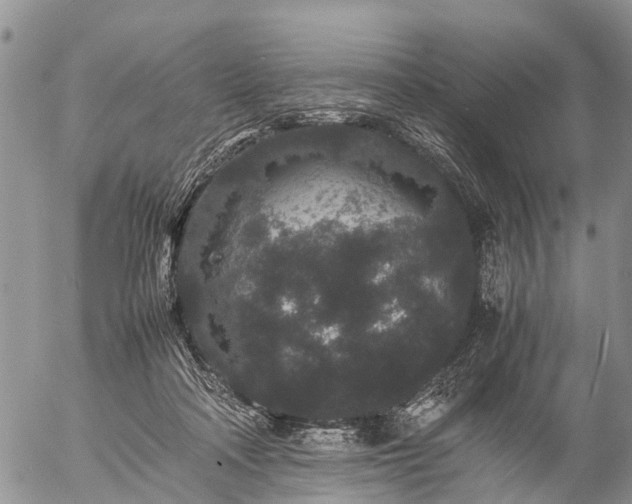 X0000057100314200509161701