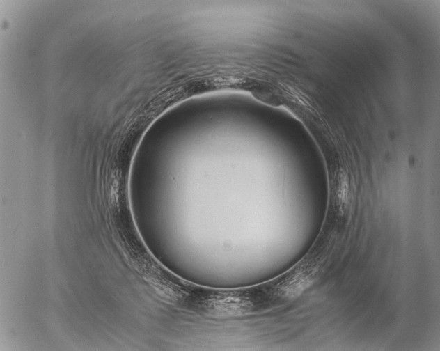 X0000057100315200509161701