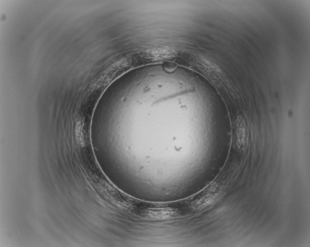 X0000057100316200509161701