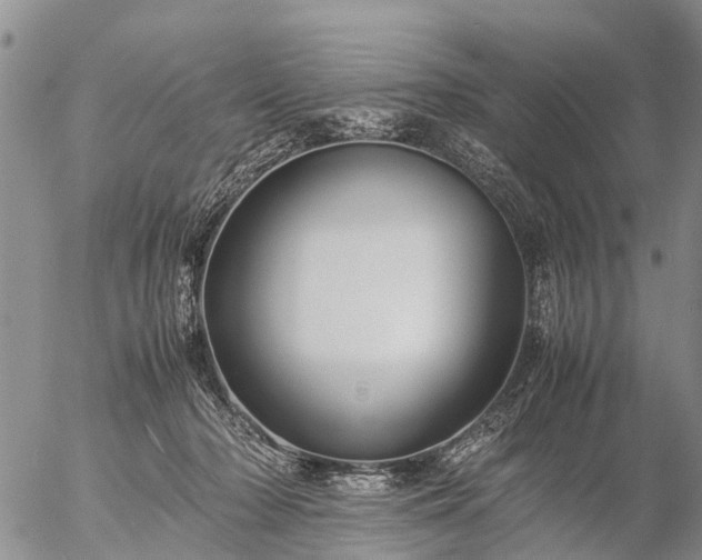 X0000057100318200509161701