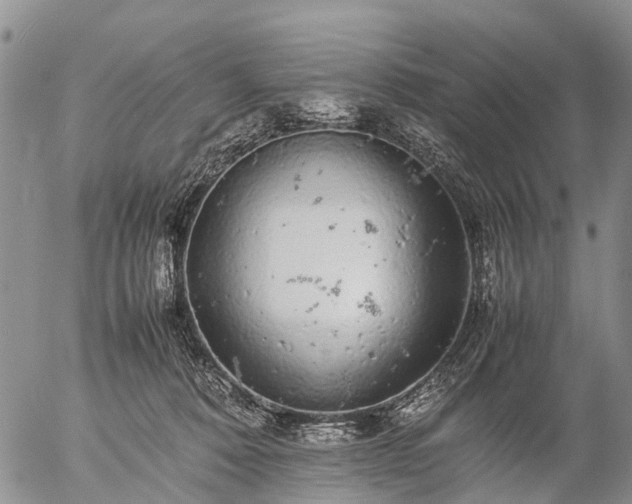 X0000057100320200509161701