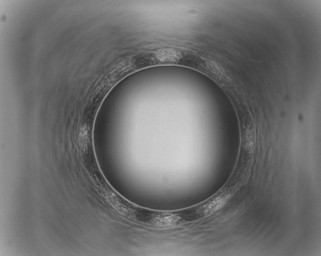 X0000057100321200509161701