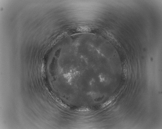 X0000057100322200509161701