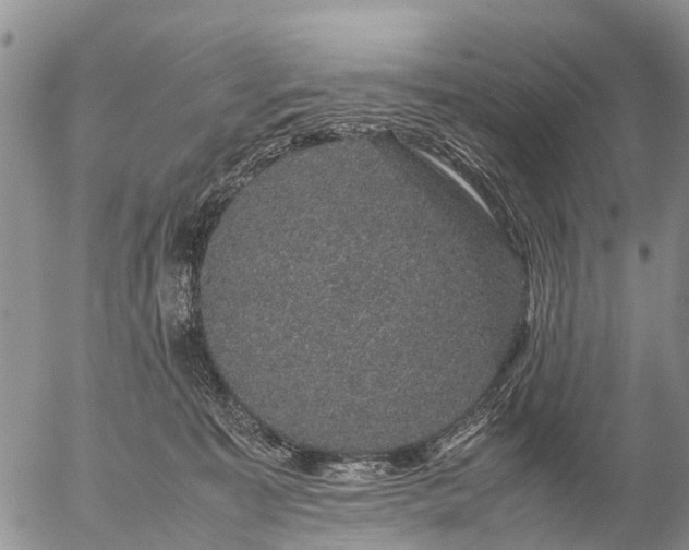 X0000057100323200509161701