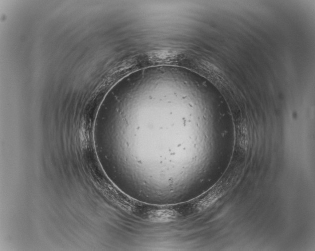 X0000057100324200509161701