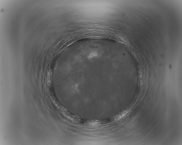 X0000057100325200509161701