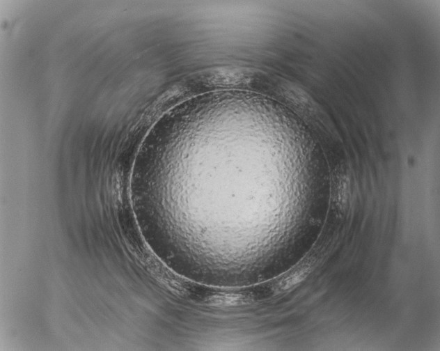 X0000057100326200509161701