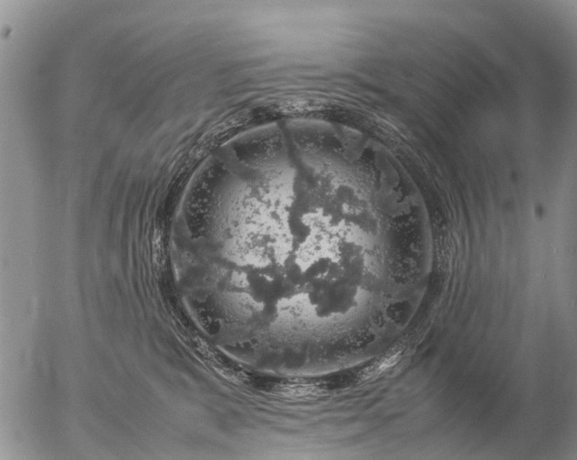 X0000057100327200509161701