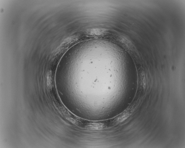 X0000057100328200509161701