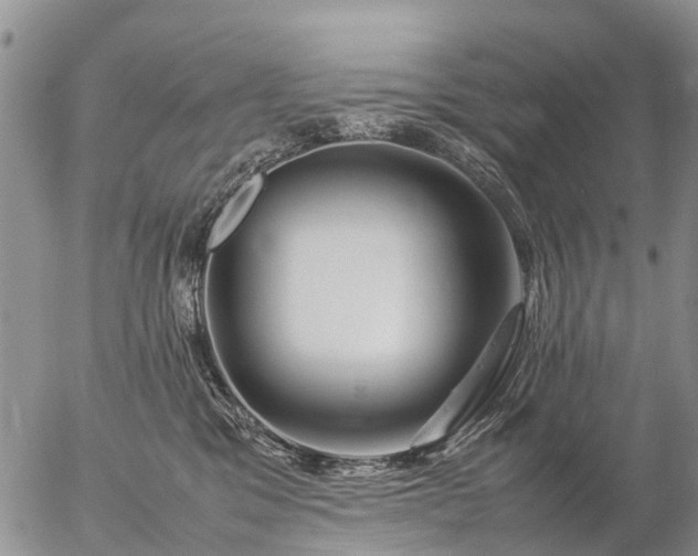 X0000057100329200509161701