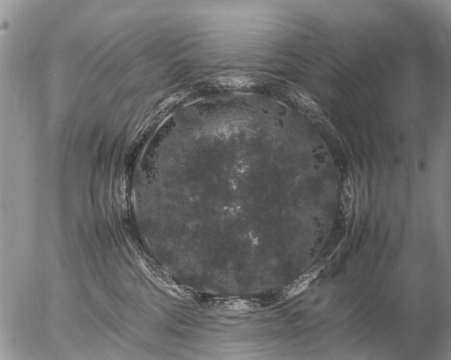 X0000057100330200509161701