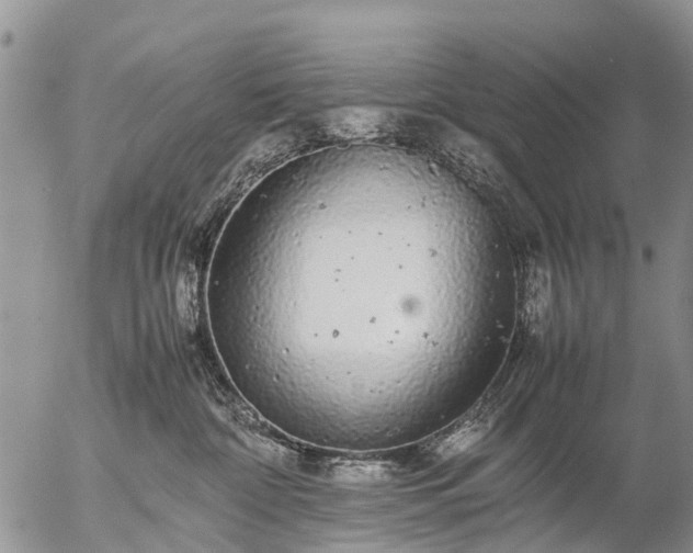 X0000057100332200509161701