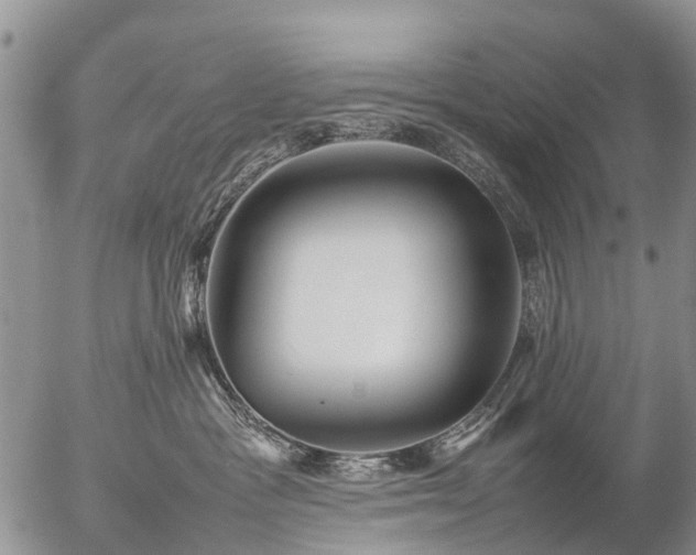 X0000057100333200509161701