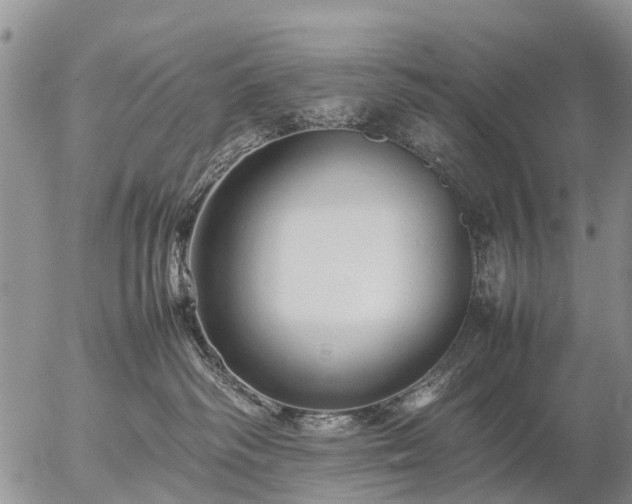 X0000057100334200509161701