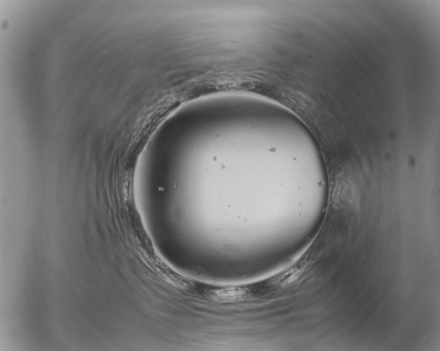 X0000057100335200509161701