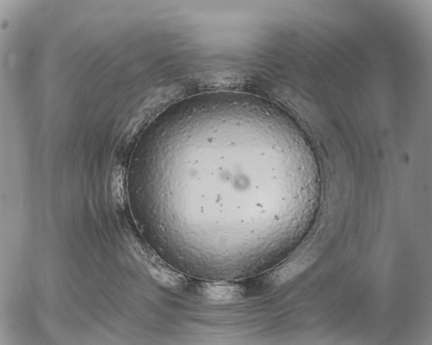 X0000057100336200509161701