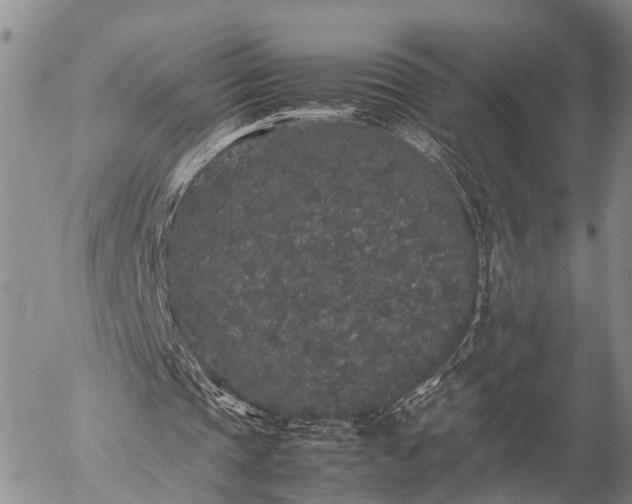 X0000057100337200509161700