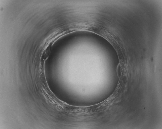 X0000057100338200509161700