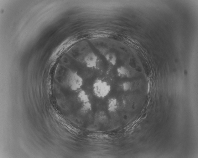 X0000057100339200509161700