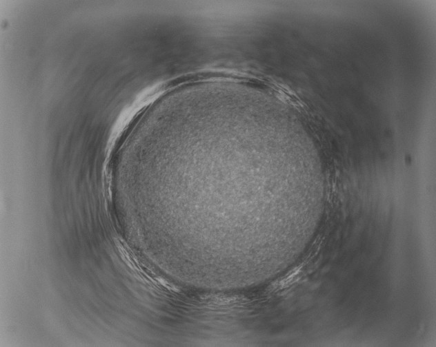 X0000057100343200509161700