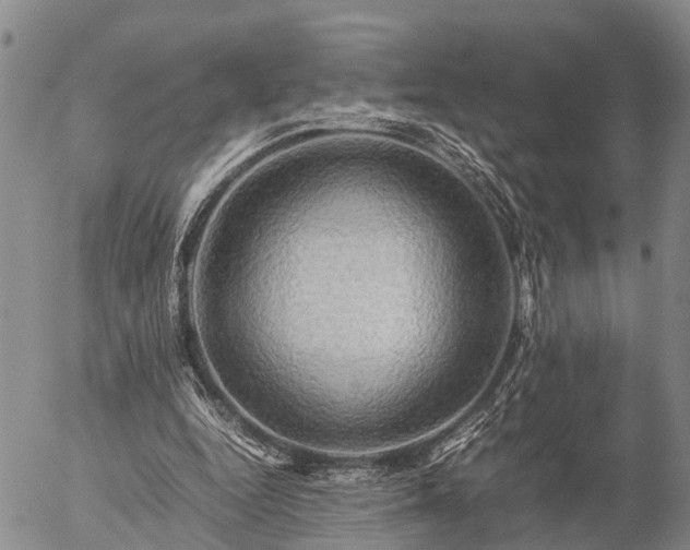 X0000057100344200509161700