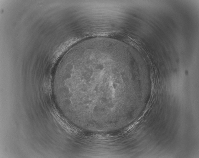 X0000057100346200509161700