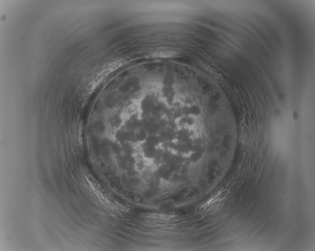 X0000057100347200509161700