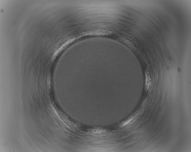 X0000057100348200509161700