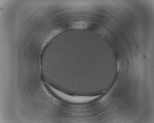 X0000057100349200509161700