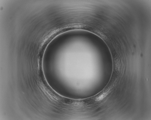 X0000057100350200509161700