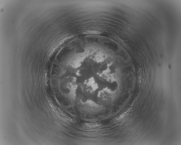 X0000057100351200509161700