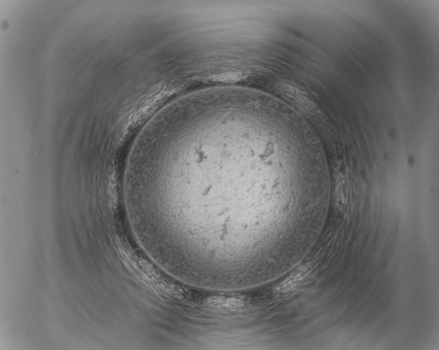 X0000057100354200509161700