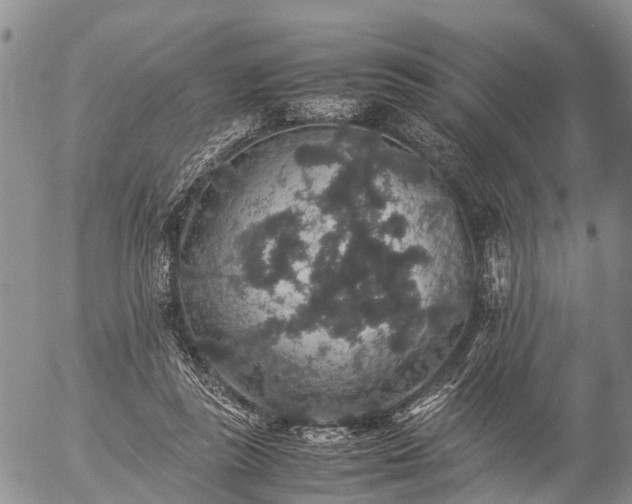 X0000057100355200509161700