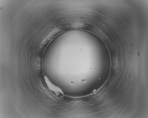 X0000057100356200509161700