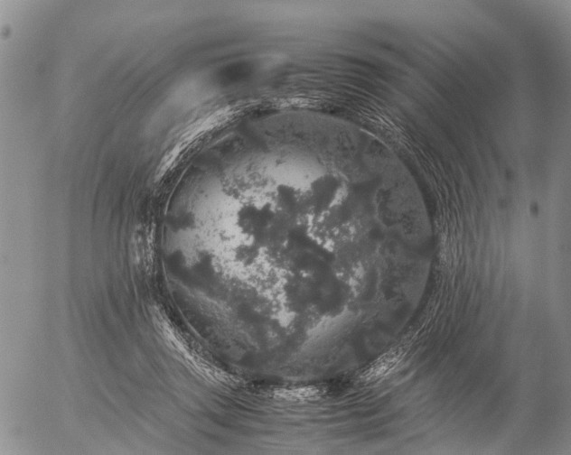 X0000057100357200509161700