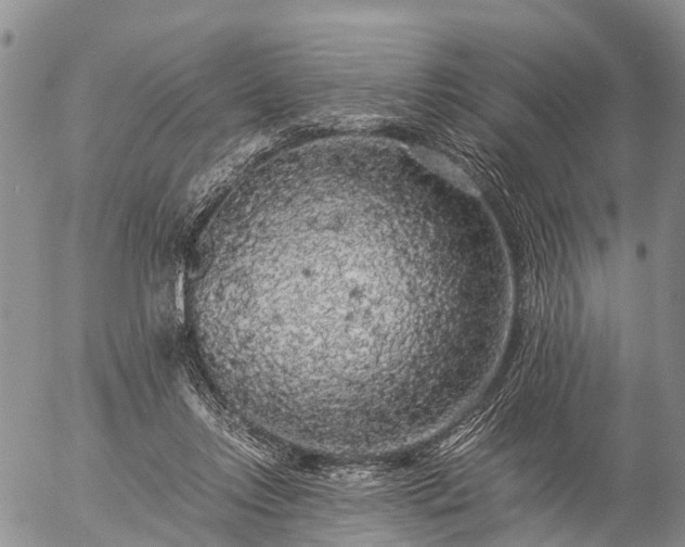 X0000057100358200509161700