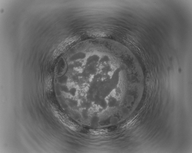 X0000057100359200509161700