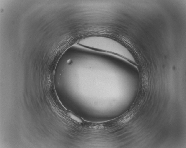 X0000057100362200509161700