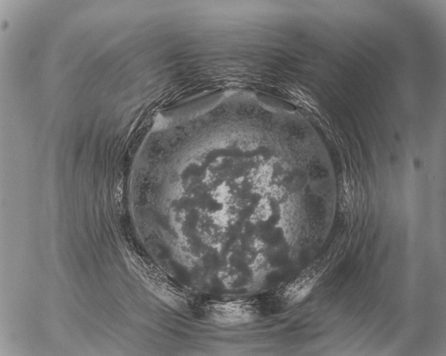 X0000057100365200509161700