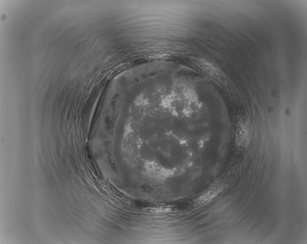 X0000057100366200509161700