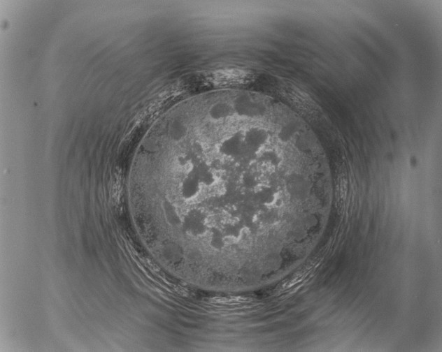 X0000057100367200509161700