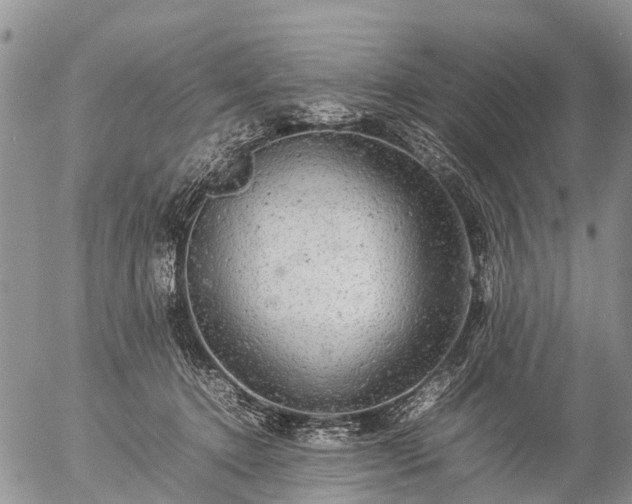 X0000057100368200509161700