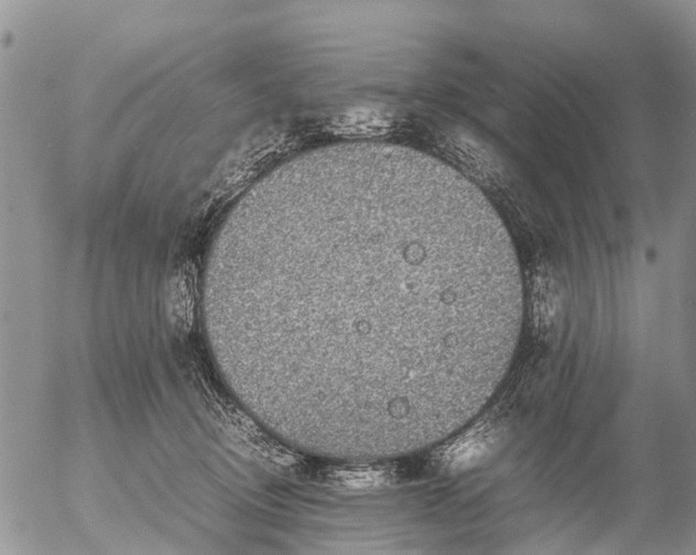 X0000057100370200509161701