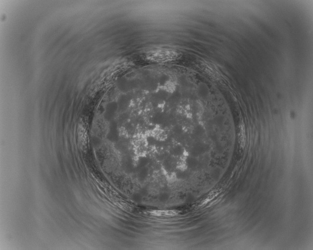 X0000057100371200509161701