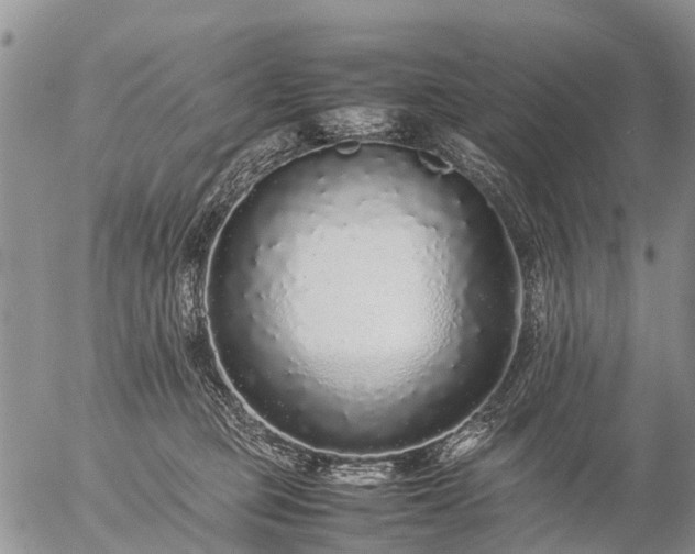 X0000057100373200509161701