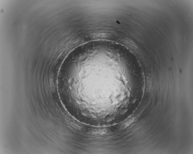 X0000057100377200509161701