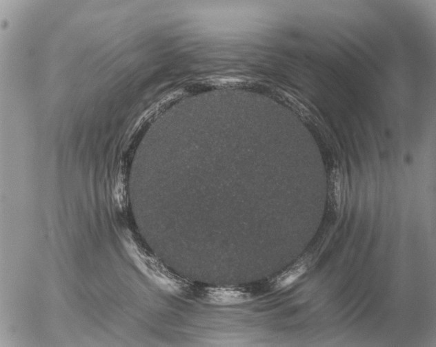 X0000057100380200509161701