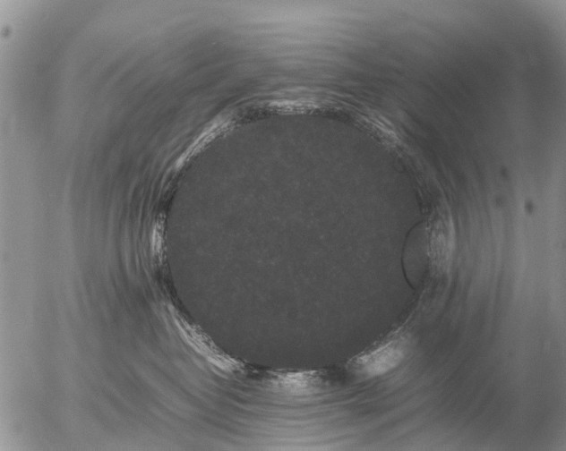 X0000057100382200509161701