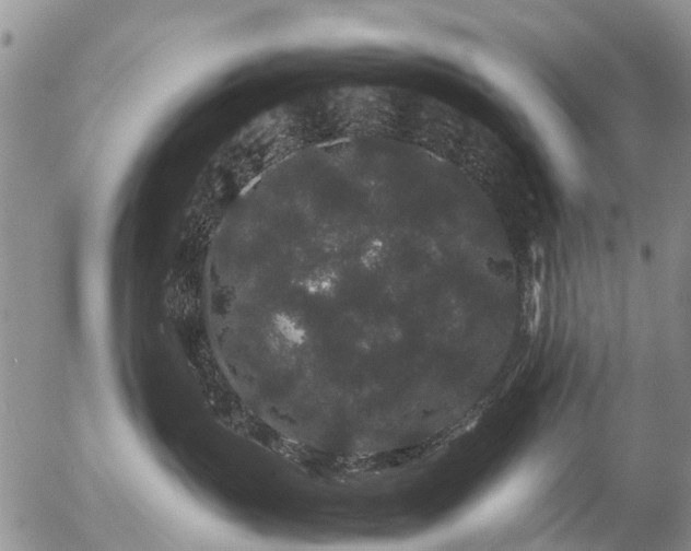 X0000057100383200509161701